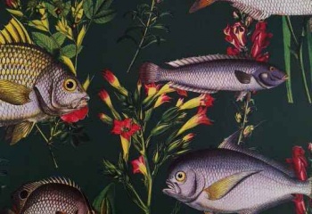 Papel de parede