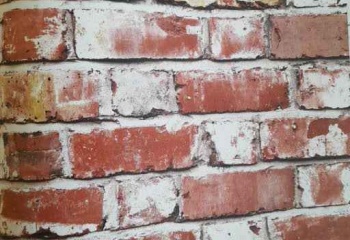 Papel de parede