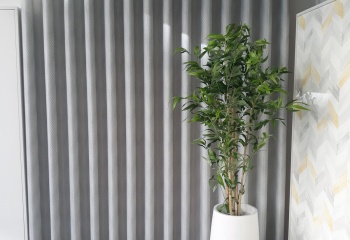 Cortinados