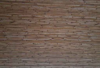 Papel de parede